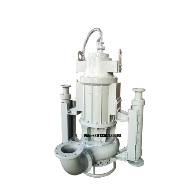 Pompe submersible pour eaux bo - Submersible Pump Sewage avis et prix
