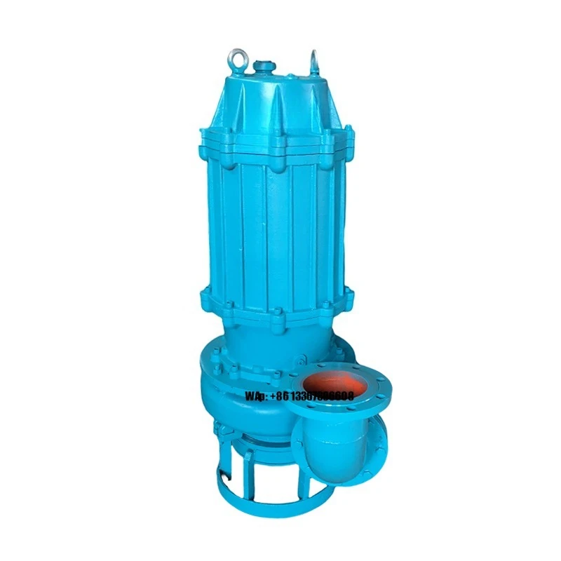 Pompe à boue submersible avec  - Submersible Pump Sewage avis et prix