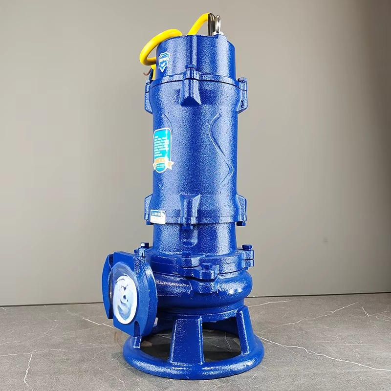 Sortie Submersible de 2 pouces - Submersible Pump Sewage avis et prix